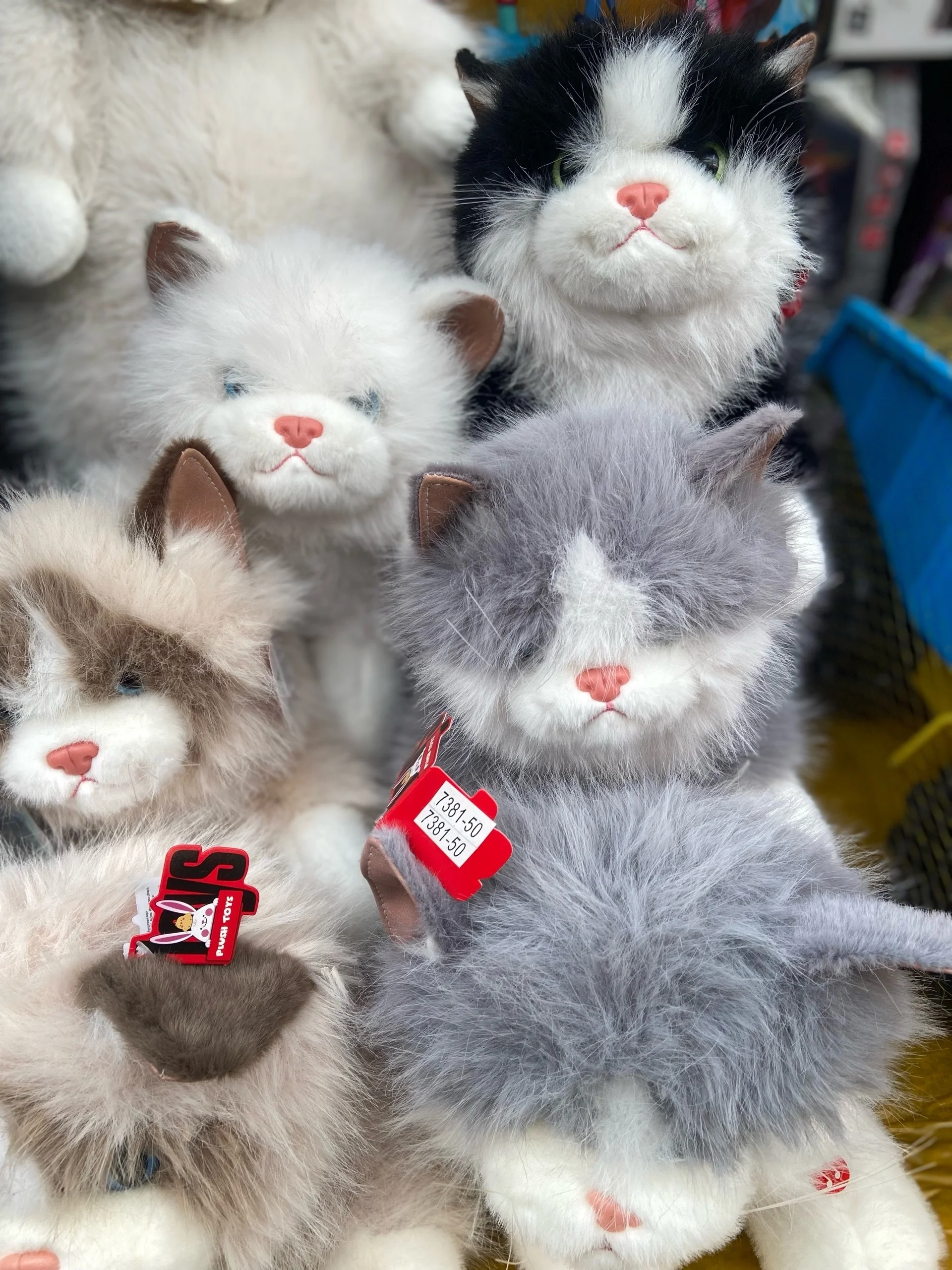 Супер новинка Мягкая игрушка Котик музыкальный 40 см. Цена Штучно 700 . Цена 3