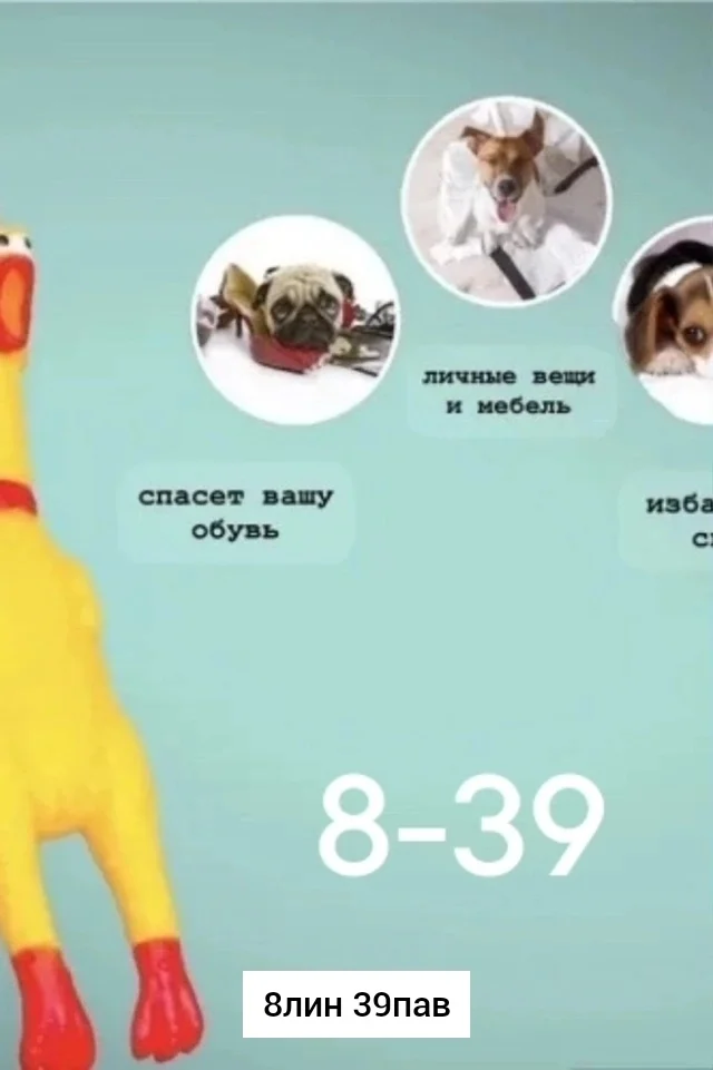 Игрушка, резина Игрушка, резина Кричащая курица, детская игрушка для декомпрессии, игрушка