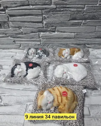 Миниатюра 3