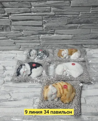 Миниатюра 5