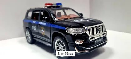 Миниатюра 3