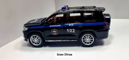 Миниатюра 6