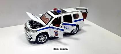 Миниатюра 8