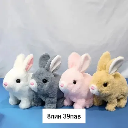 Миниатюра 5