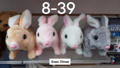 Миниатюра 6