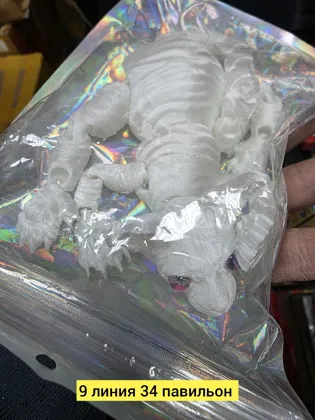 Миниатюра 3