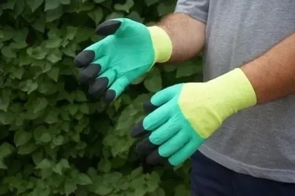 Миниатюра 2