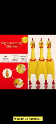 Миниатюра 4