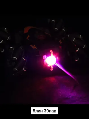 Миниатюра 2