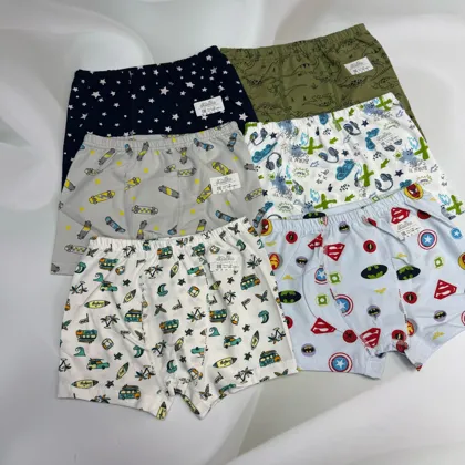 Миниатюра 6