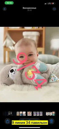 Миниатюра 5