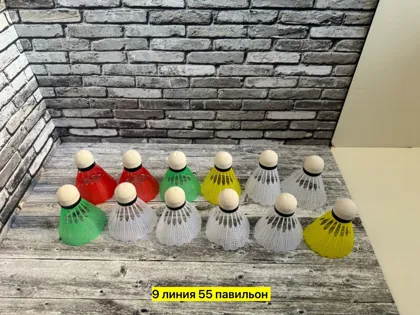 Миниатюра 2