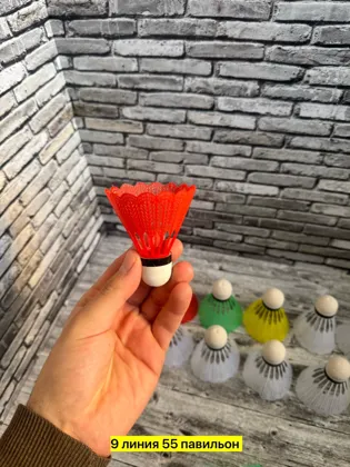 Миниатюра 3