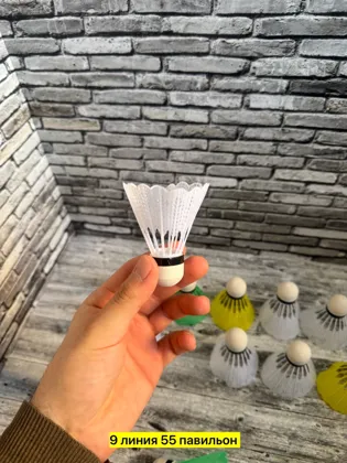 Миниатюра 4