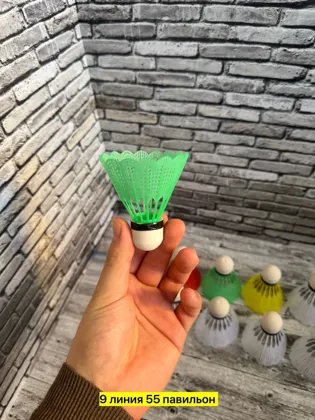 Миниатюра 5