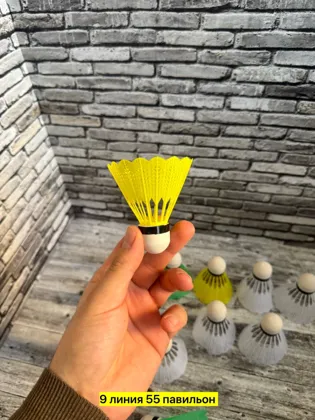 Миниатюра 6