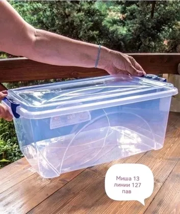 Миниатюра 2