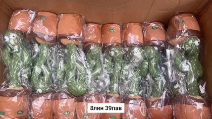 Миниатюра 8