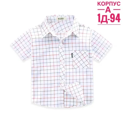 Миниатюра 6