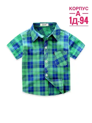 Миниатюра 7