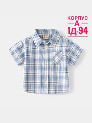 Миниатюра 8