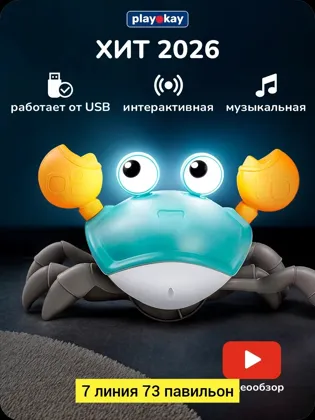 Миниатюра 6