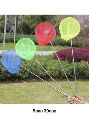 Миниатюра 6