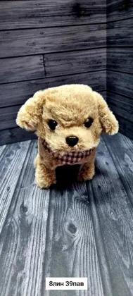 Миниатюра 2