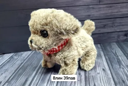 Миниатюра 3