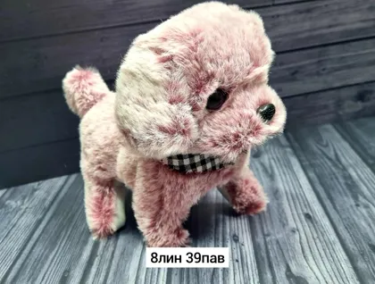 Миниатюра 4