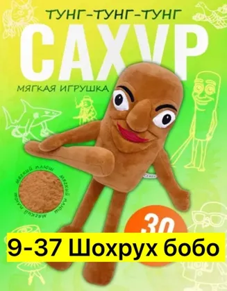 Миниатюра 5