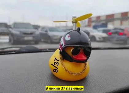 Миниатюра 3