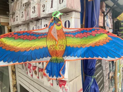 Миниатюра 3