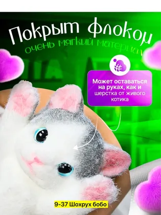 Миниатюра 4