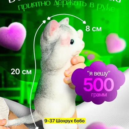 Миниатюра 7