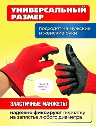 Миниатюра 3