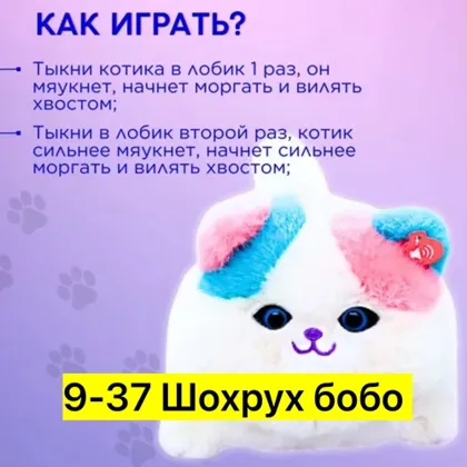 Миниатюра 6