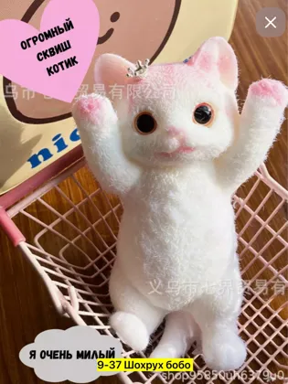 Миниатюра 6