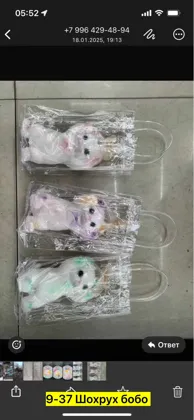 Миниатюра 7