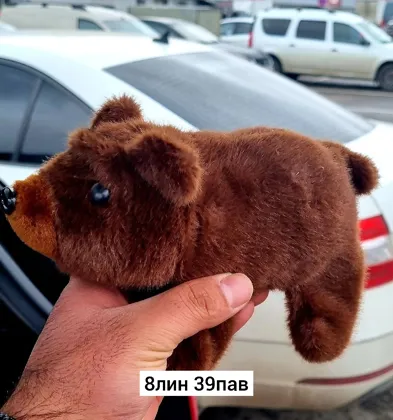 Миниатюра 4