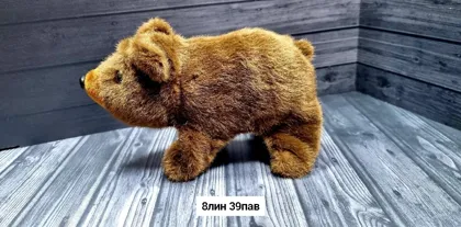 Миниатюра 6