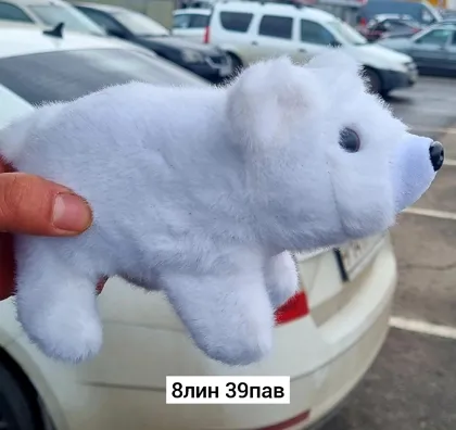 Миниатюра 7