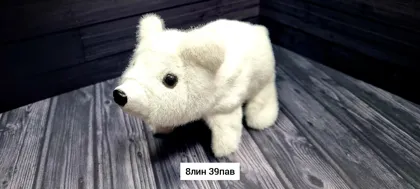 Миниатюра 8