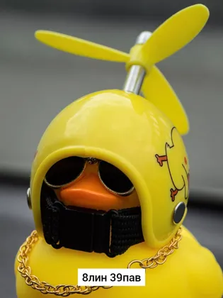 Миниатюра 6