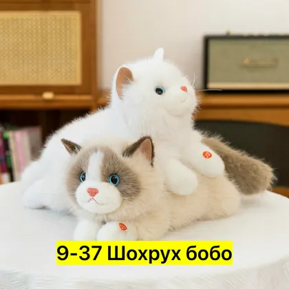 Миниатюра 5