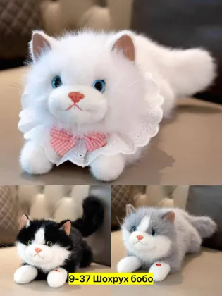 Миниатюра 6