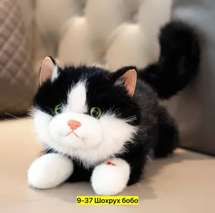 Миниатюра 7