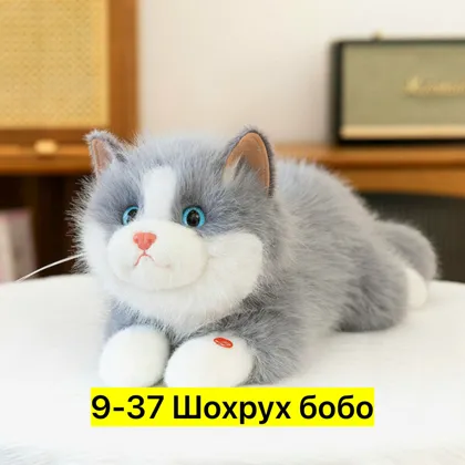 Миниатюра 8