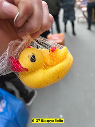 Миниатюра 6