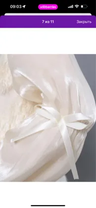 Миниатюра 5